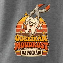 Odebírám moudrost na počkání