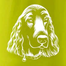 Kokršpaněl - hlava kreslená