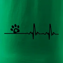 Veterinář EKG