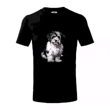 Havanský psík černá fotka