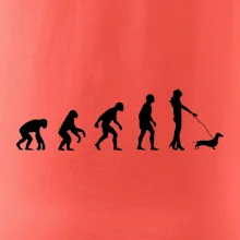 Jezevčík Evoluce žena