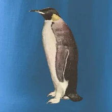 Tučňák kreslený vodovými barvami