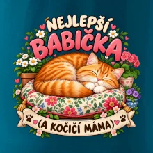 Nejlepší babička a kočičí máma spící zrzavý kocour