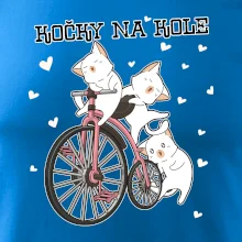 Kočky na kole