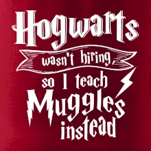 Harry - Hogwarts wasn’t hiring, so I teach Muggles instead
