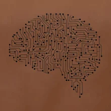 Tištěný spoj mozek