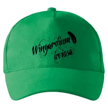 Harry - Wingardium Leviosa