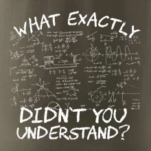 What exactly didnt you understand - physics