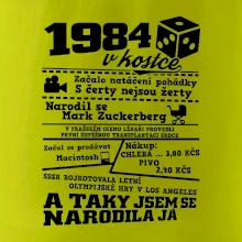 1984 v kostce