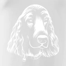 Kokršpaněl - hlava kreslená