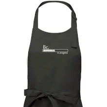 In progress  titul Bc. bakalář / bakalářka