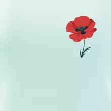 Vlčí mák kreslený na prsu