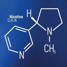 Molekulární struktura Nikotin