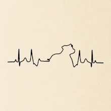 Stafordšírsky bulteriér EKG