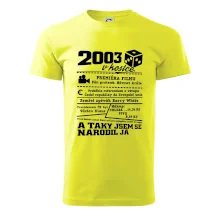 2003 v kostce