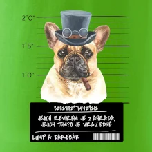 Lump a darebák francouzský buldoček