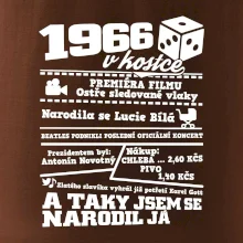 1966 v kostce