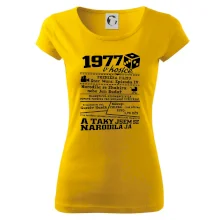 1977 v kostce