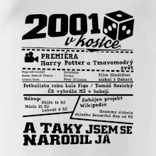 2001 v kostce