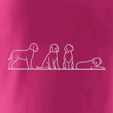 Lagotto romagnolo postavy linka