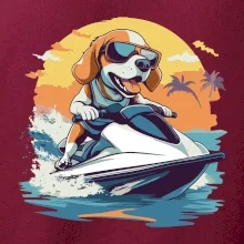 Bígl na vodním skútru