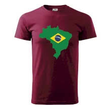 Brazílie vlajka v mapě