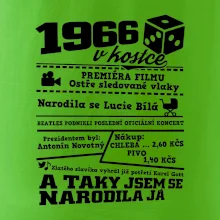1966 v kostce