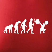 Evolution fitness