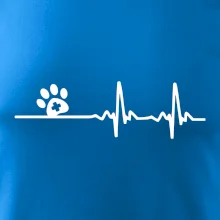 Veterinář EKG