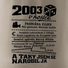 2003 v kostce