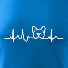 EKG Francouzský buldoček hlava