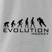 Evoluce Hockey - hráč