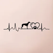 Chrt - Ekg