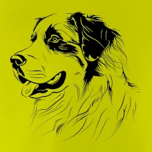 Bernský salašnický pes černá kresba