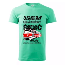 Jsem ukázněný řidič - tramvaj