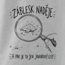 Záblesk naděje