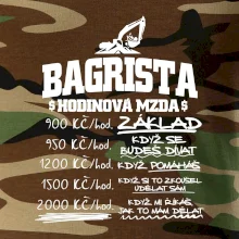 Hodinová mzda bagrista