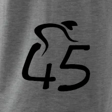 Cyklista slaví pětačtyřicítku (45)