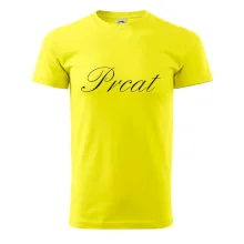 Prcat (souložit vulgárně)