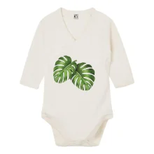 Monstera - dva listy Monstera - dva listy