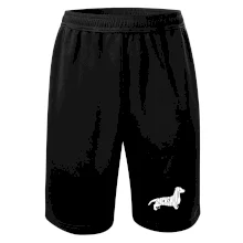 Jezevčík - Dachshund