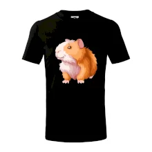 Morče - kreslené, bílo oranžové