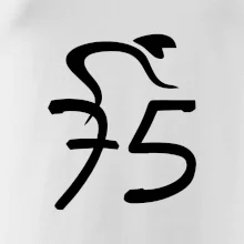 Cyklista slaví pětasedmdesátku (75)