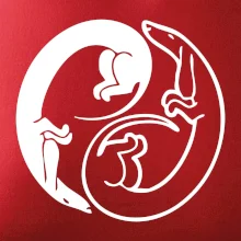 Jezevčíci - Jin jang