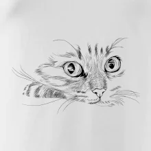 Kočka obličej kreslený