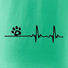Veterinář EKG