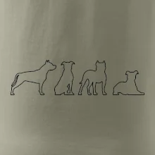 Americký stafordširský teriér v různých pozicích