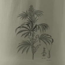 Konopí kytka černobílá