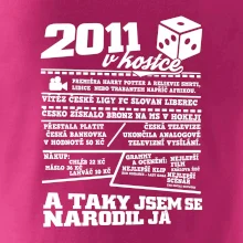 2011 v kostce