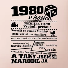 1980 v kostce